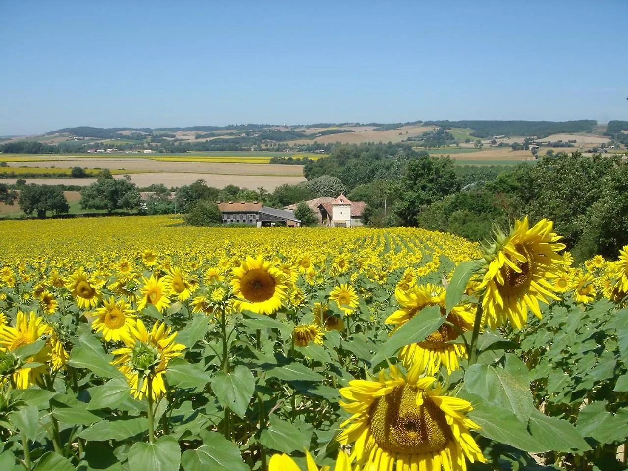 Сasa de vacaciones Le Gite De Migou Larrazet Francia